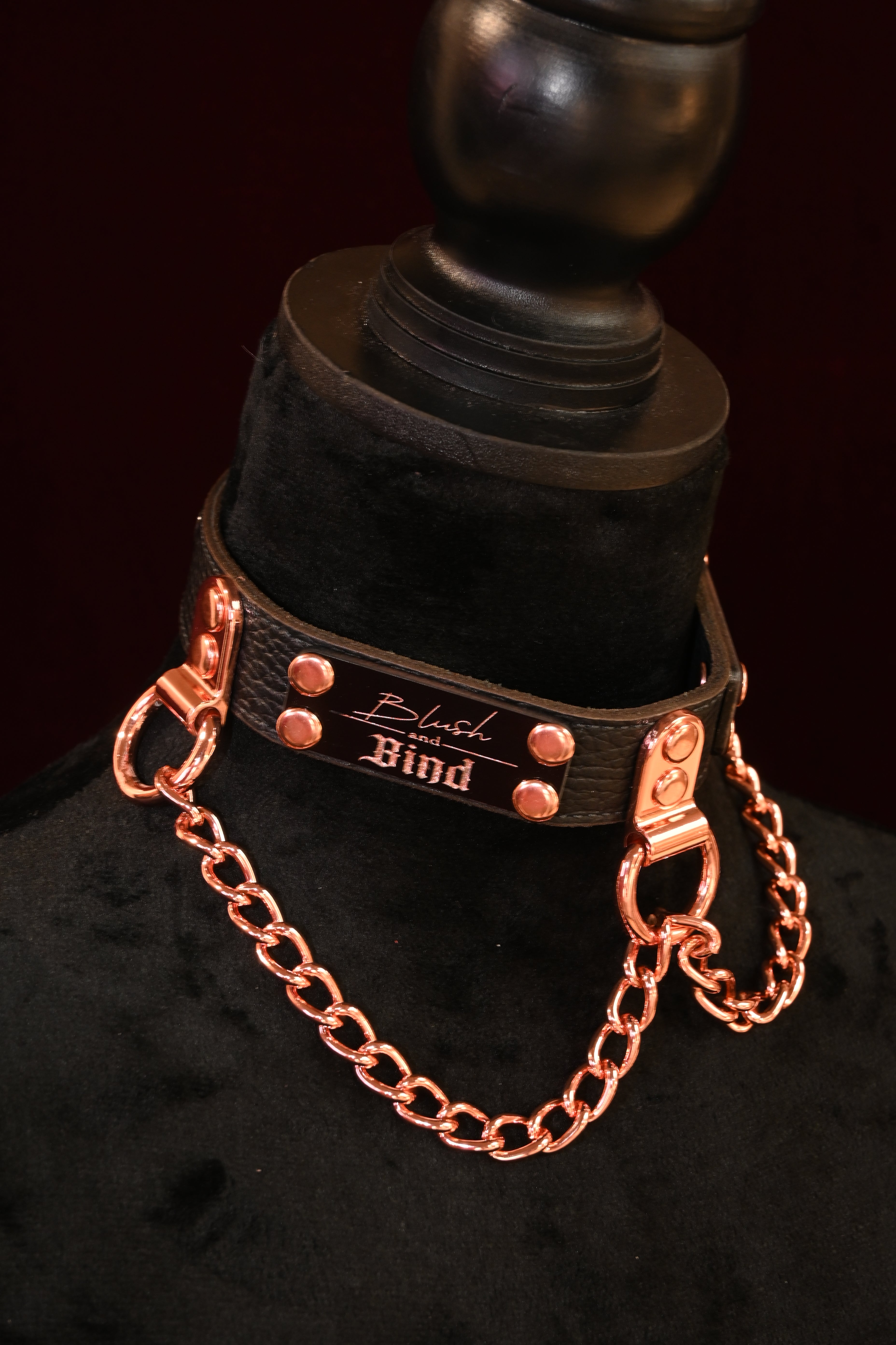 Copper Chain Name Plate Collar image 0