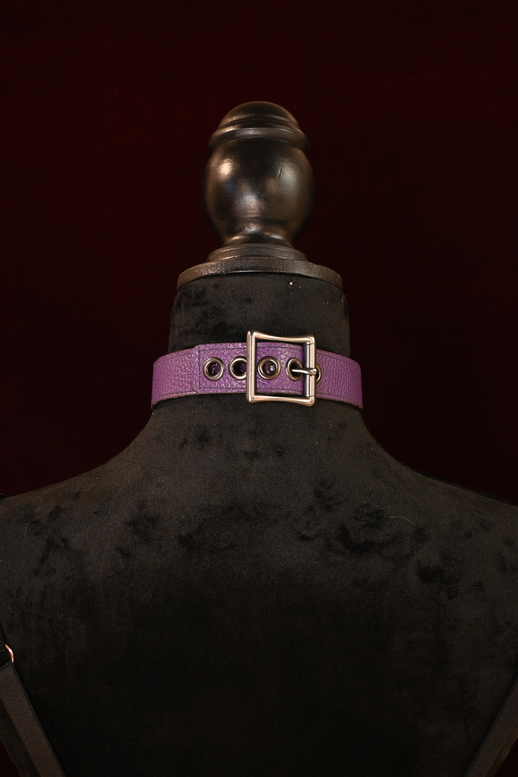 Spooky Season Purple Bat Collar image 1