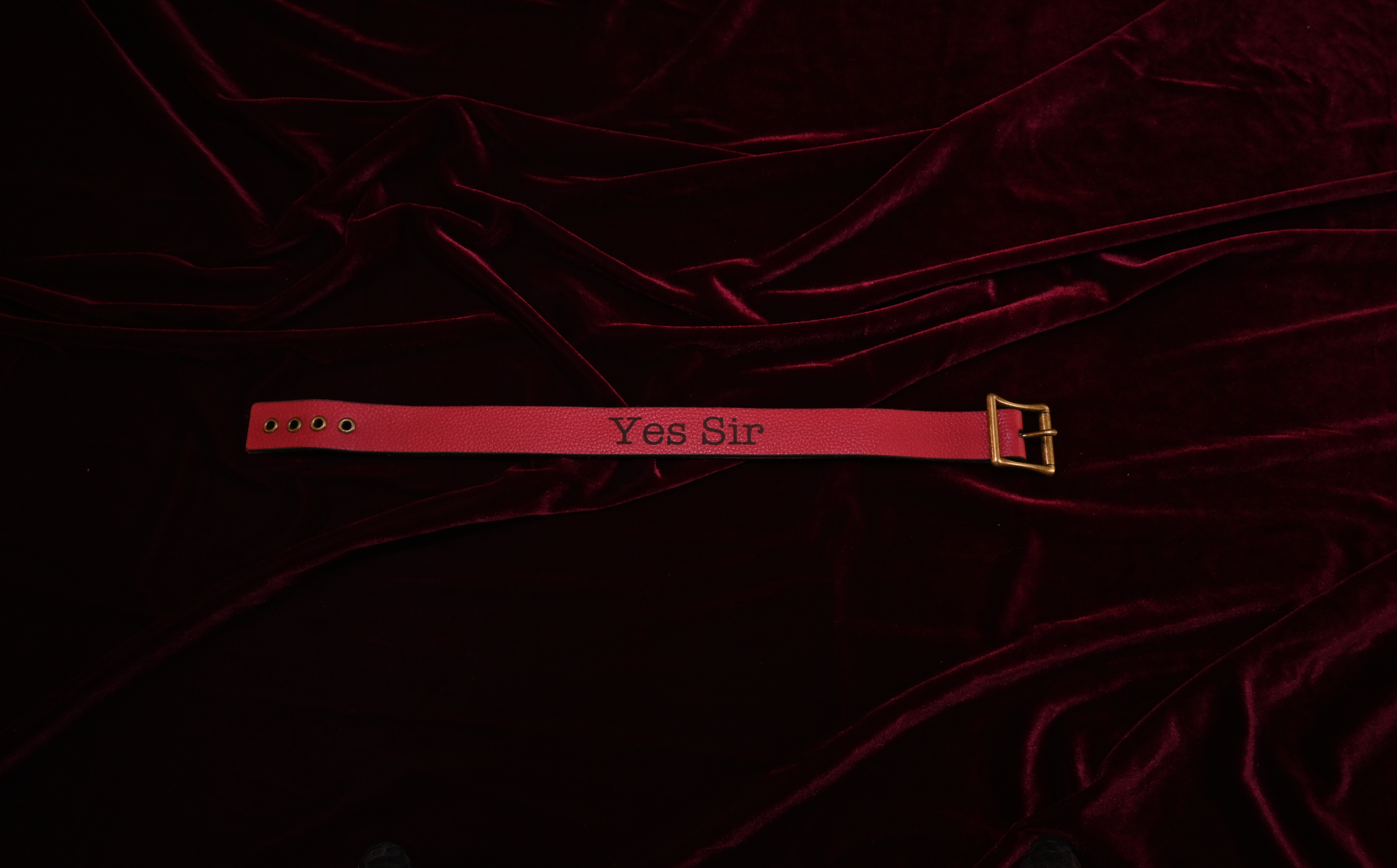 Crimson "Yes Sir" Collar image 2