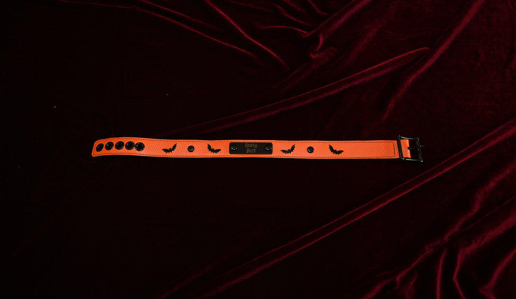 Spooky Season Bat Name Plate Collar image 2