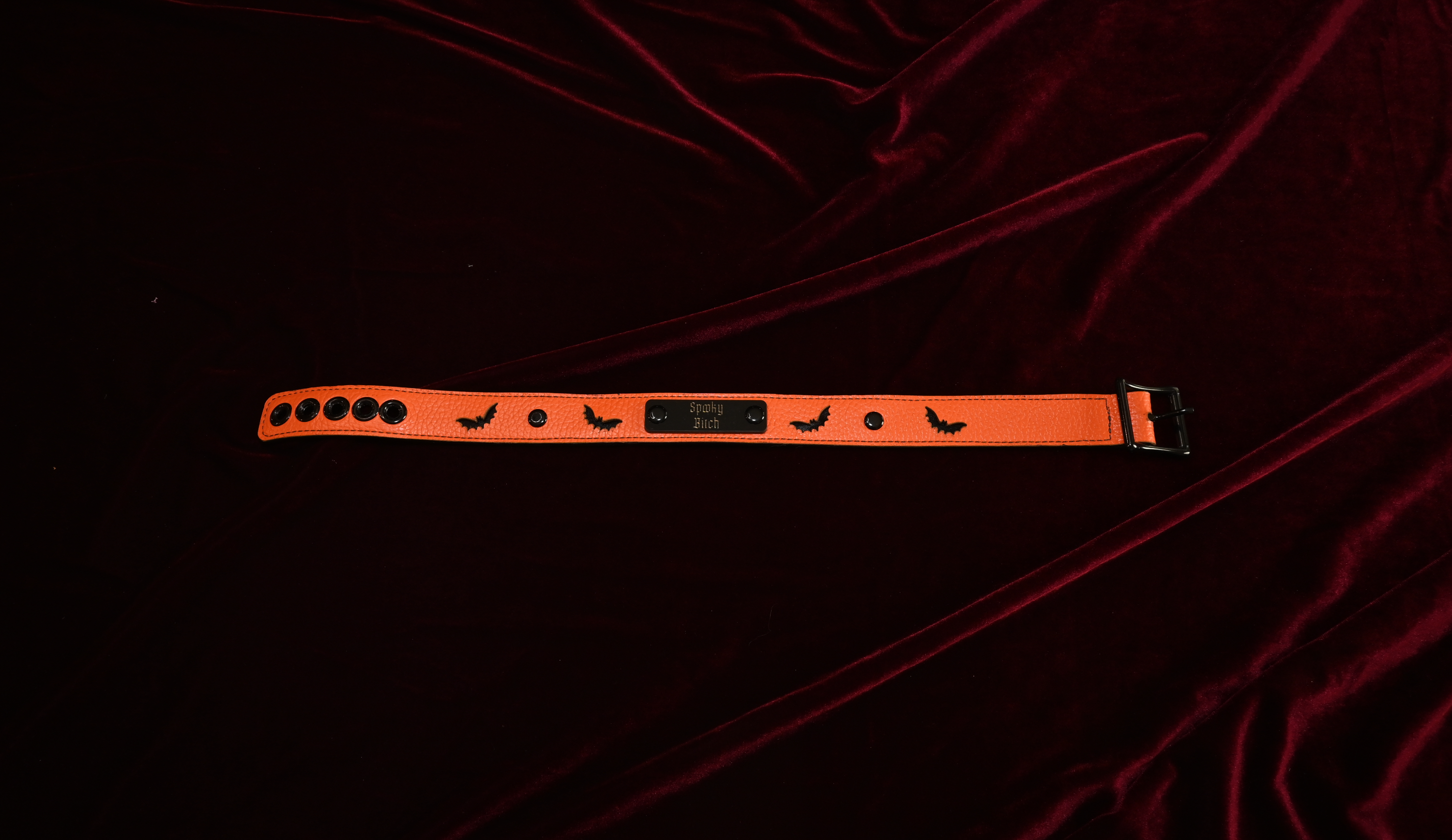 Spooky Season Bat Name Plate Collar image 2