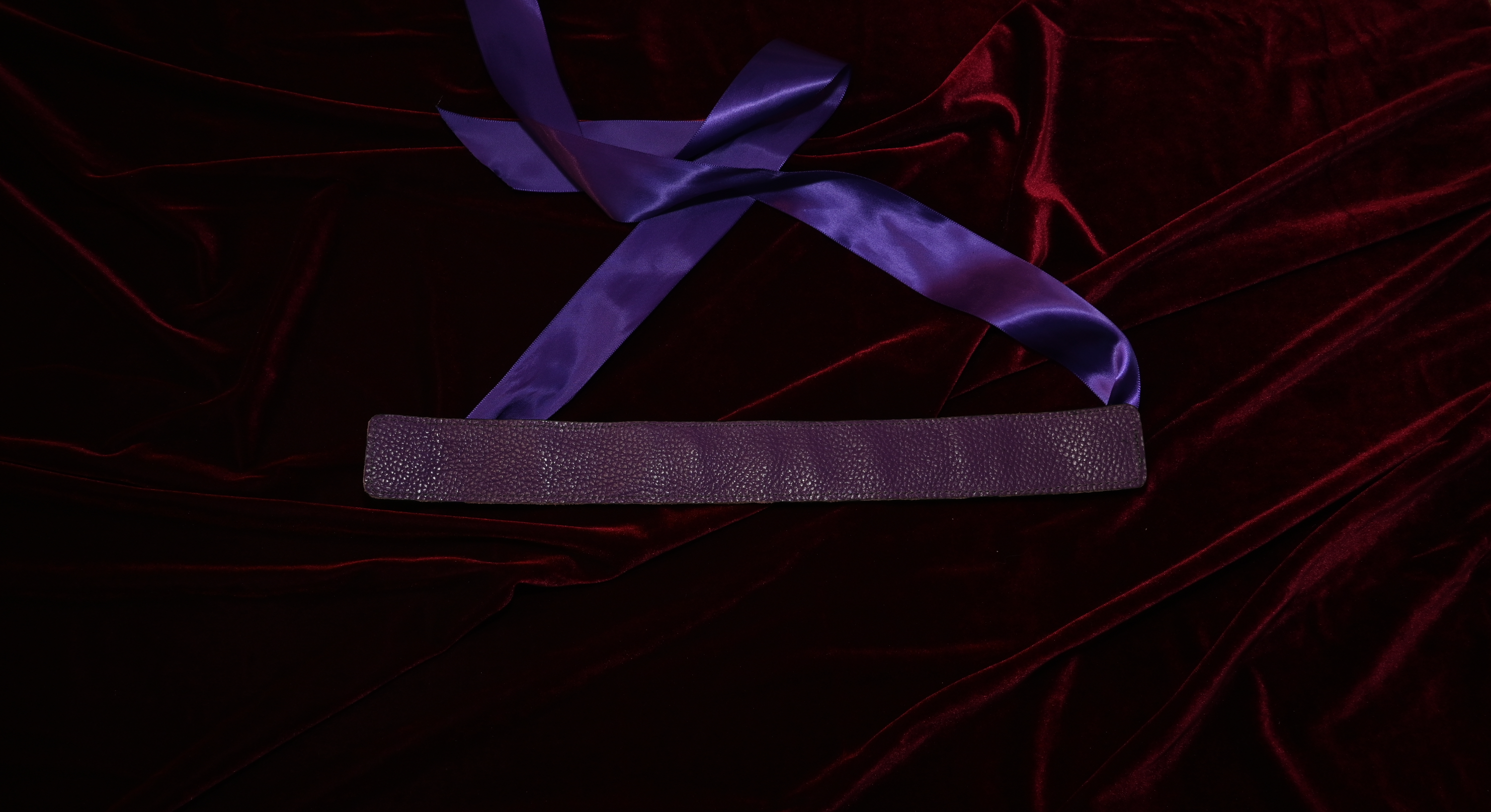 Spooky Season Corset Collar image 3