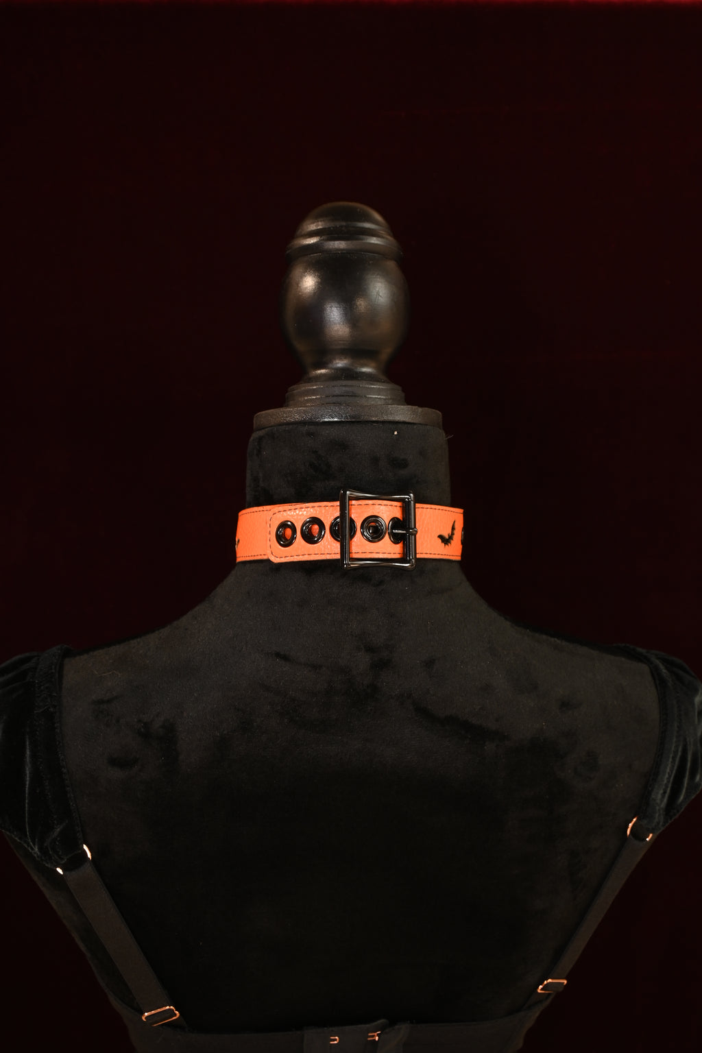 Spooky Season Bat Name Plate Collar image 1