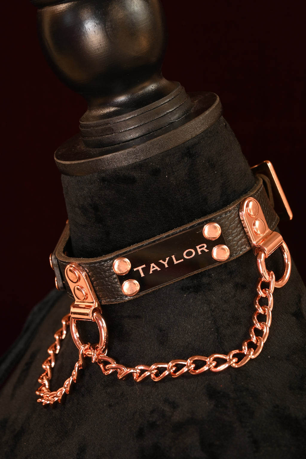 Copper Chain Name Plate Collar image 2