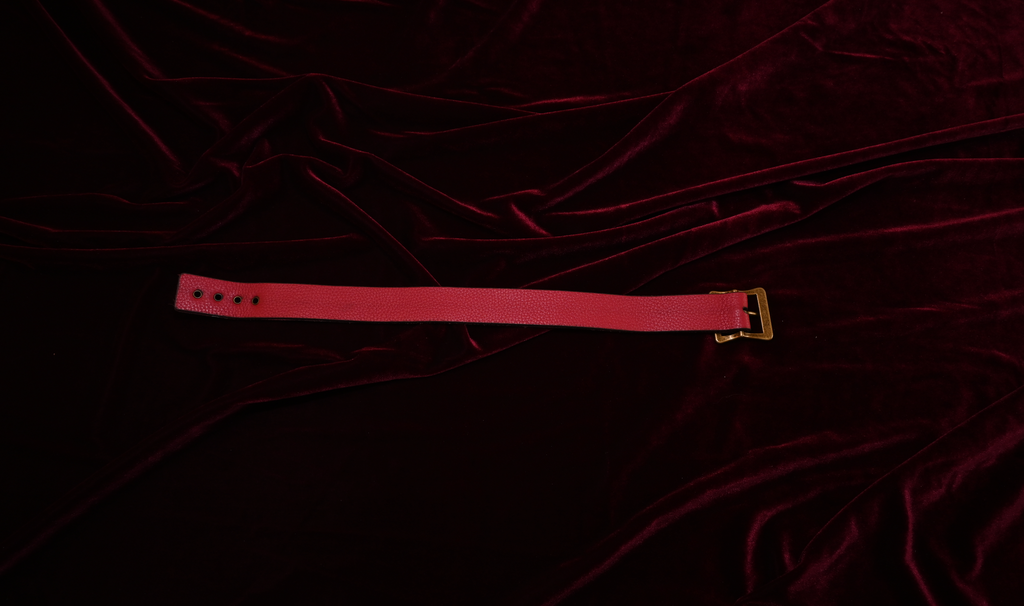 Crimson "Yes Sir" Collar image 3