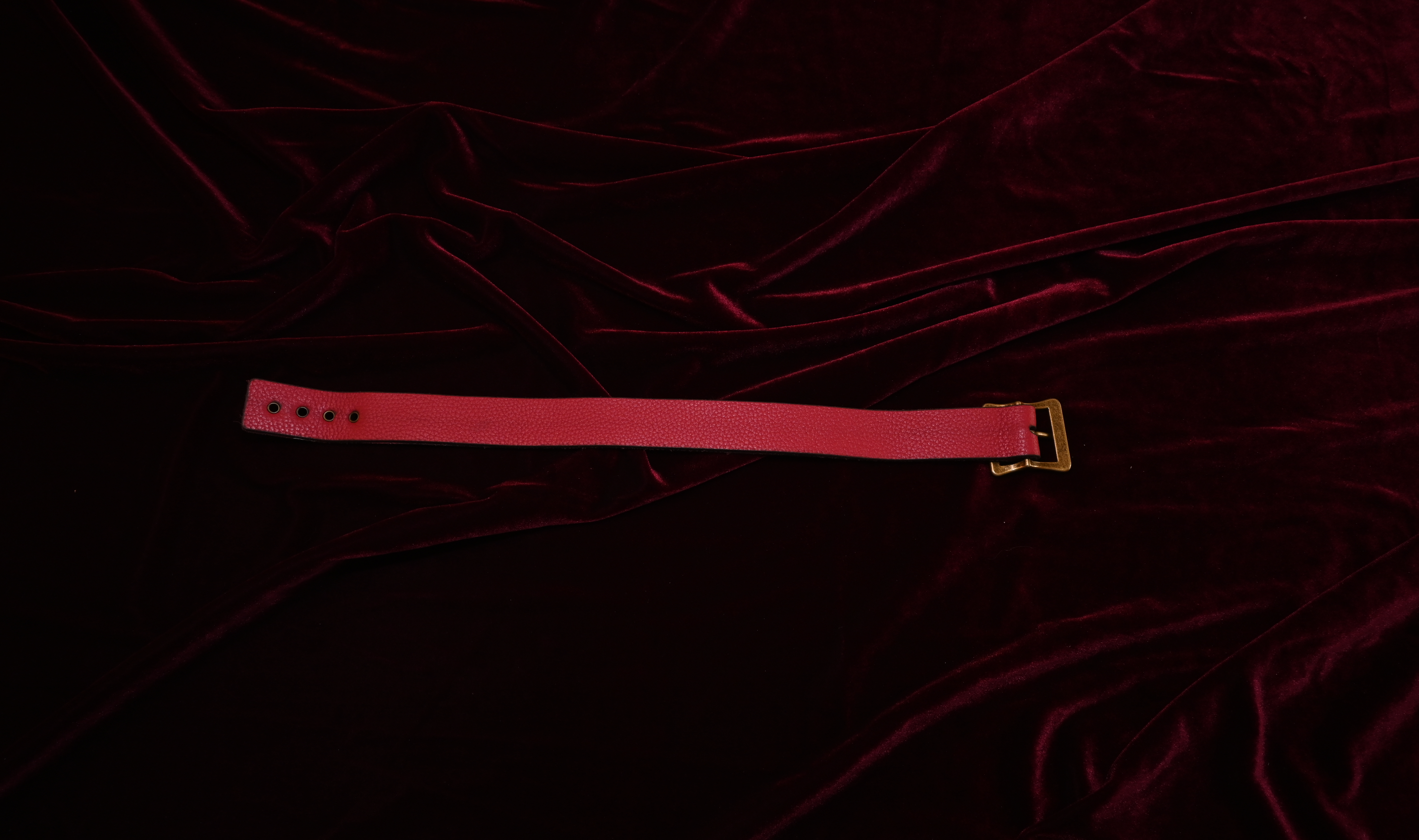 Crimson "Yes Sir" Collar image 3