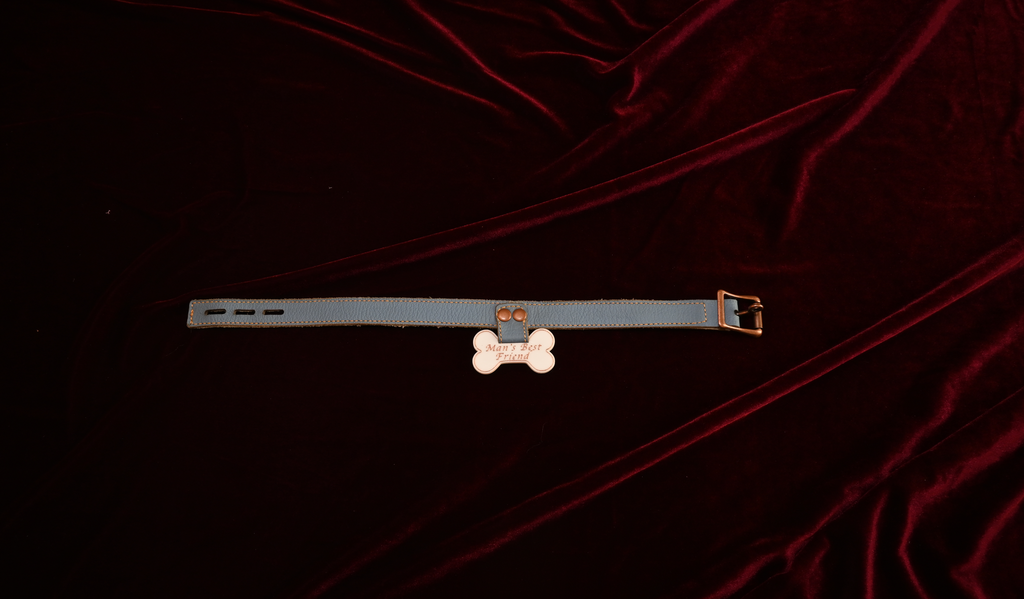 Man's Best Friend Collar image 1
