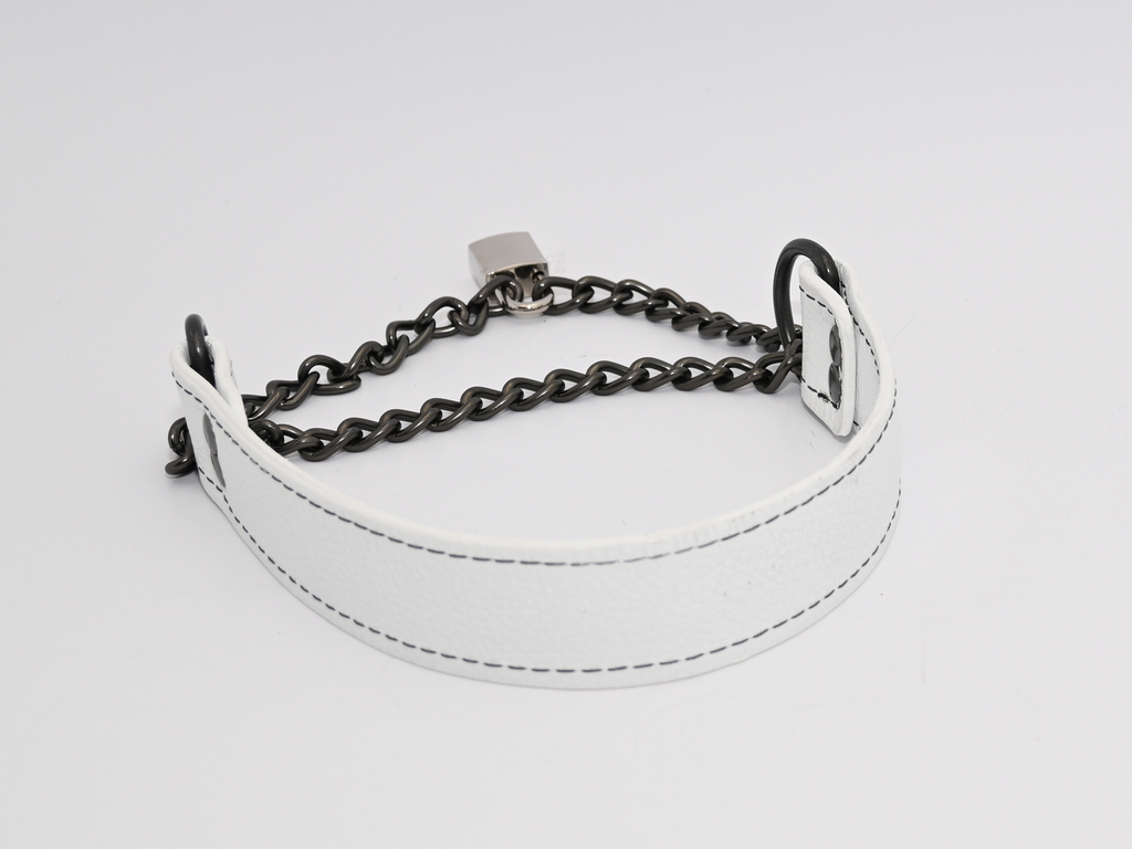 Obey Another Day - Agent No. 7 Collar image 6