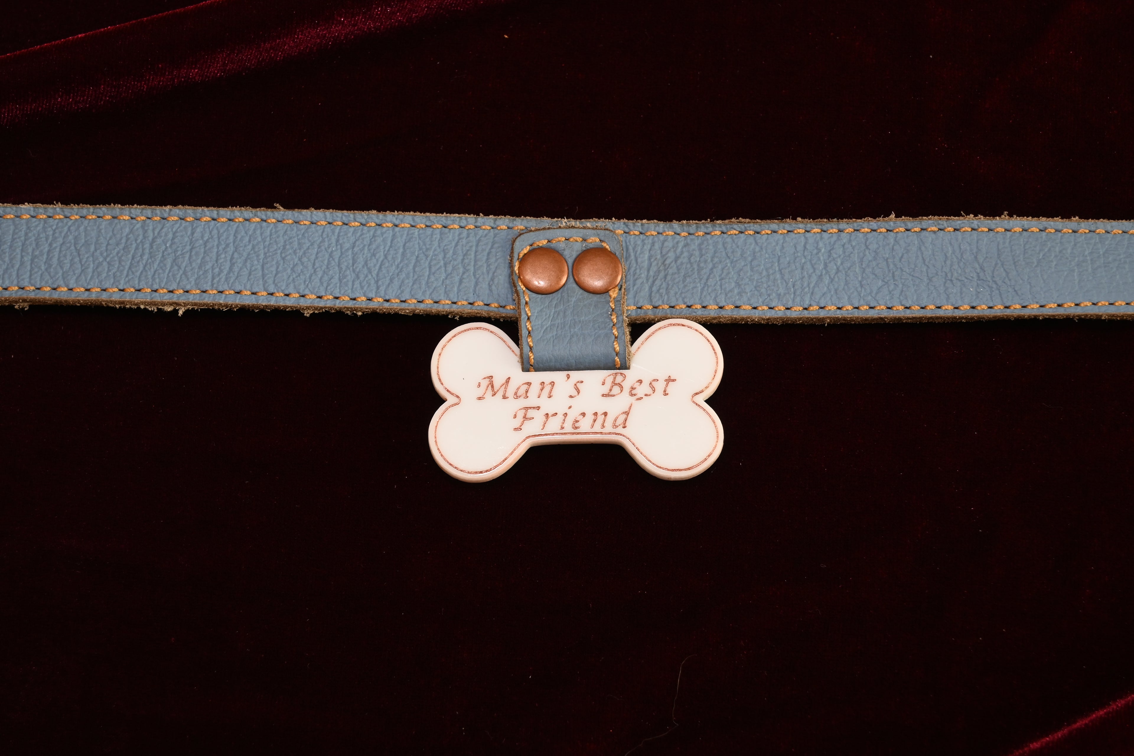 Man's Best Friend Collar image 0
