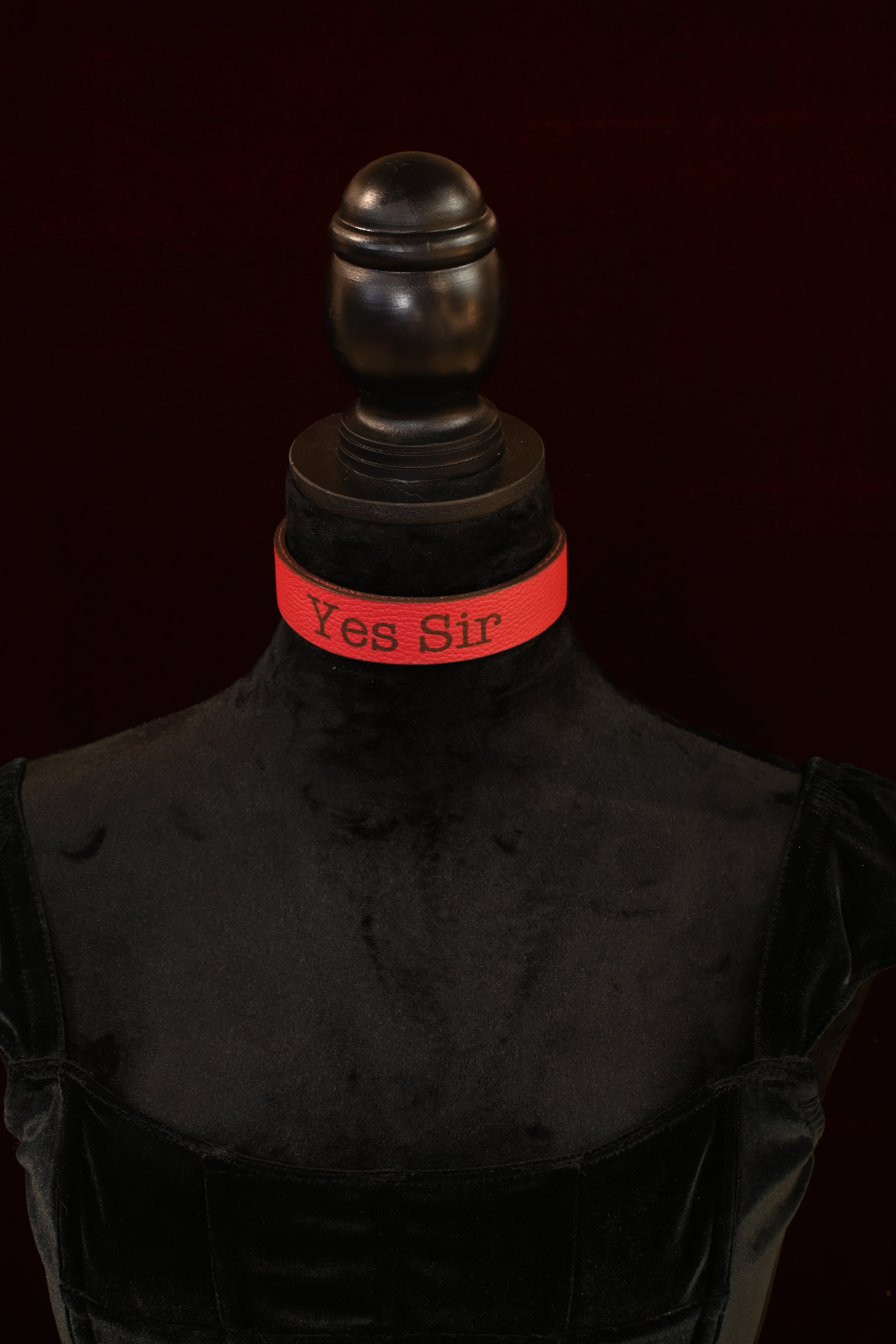 Crimson "Yes Sir" Collar image 0