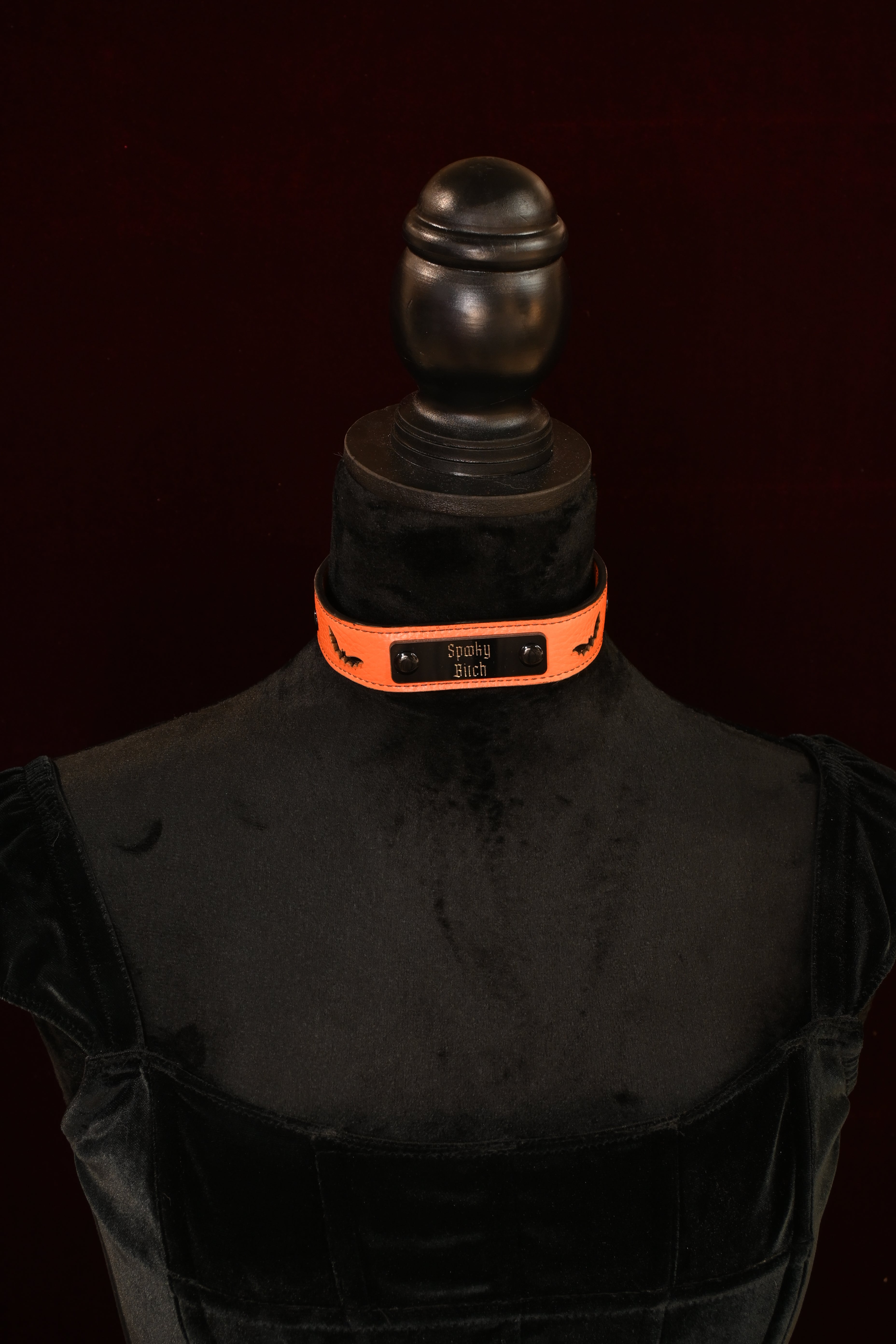 Spooky Season Bat Name Plate Collar image 0