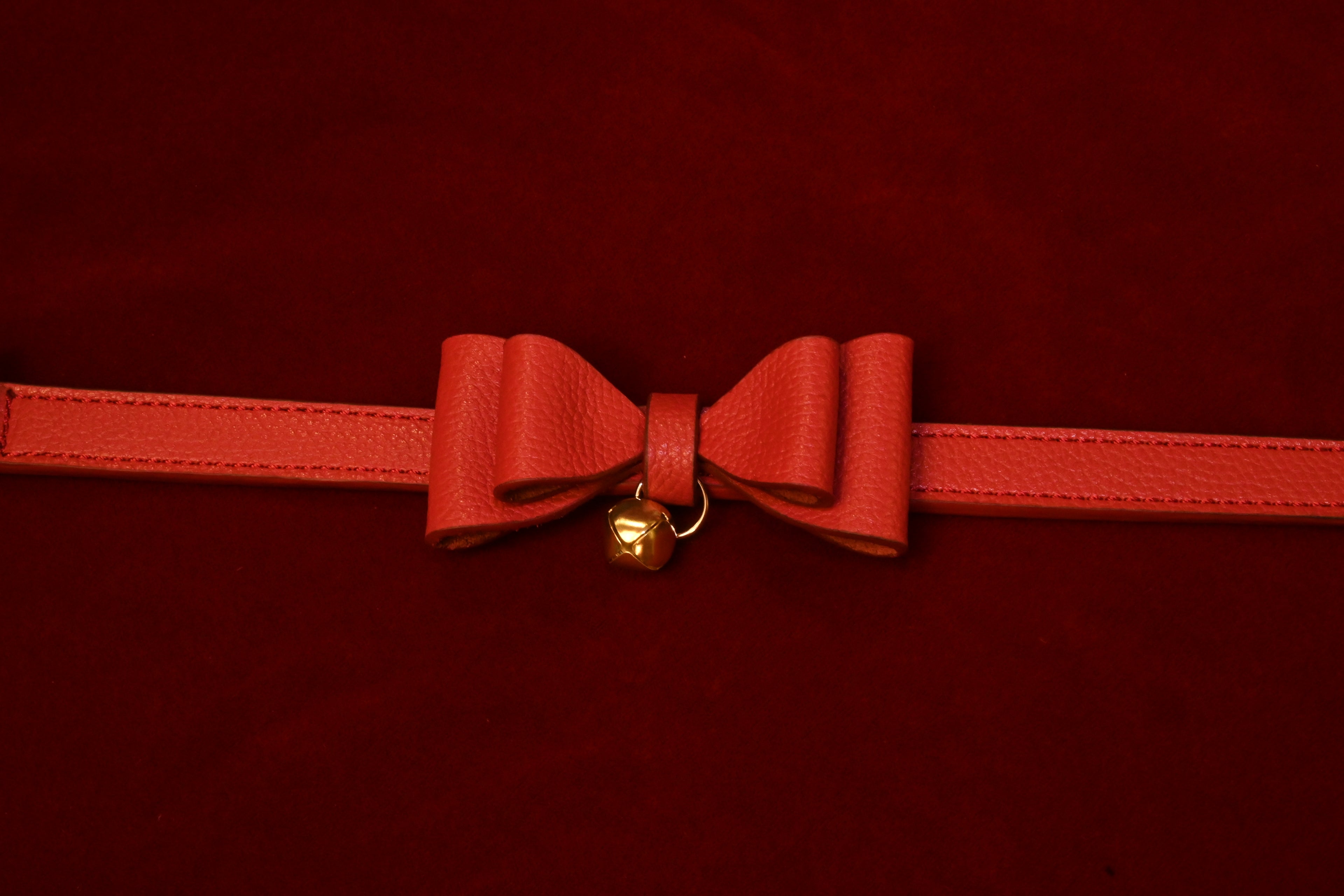 Holiday Red Bow Collar