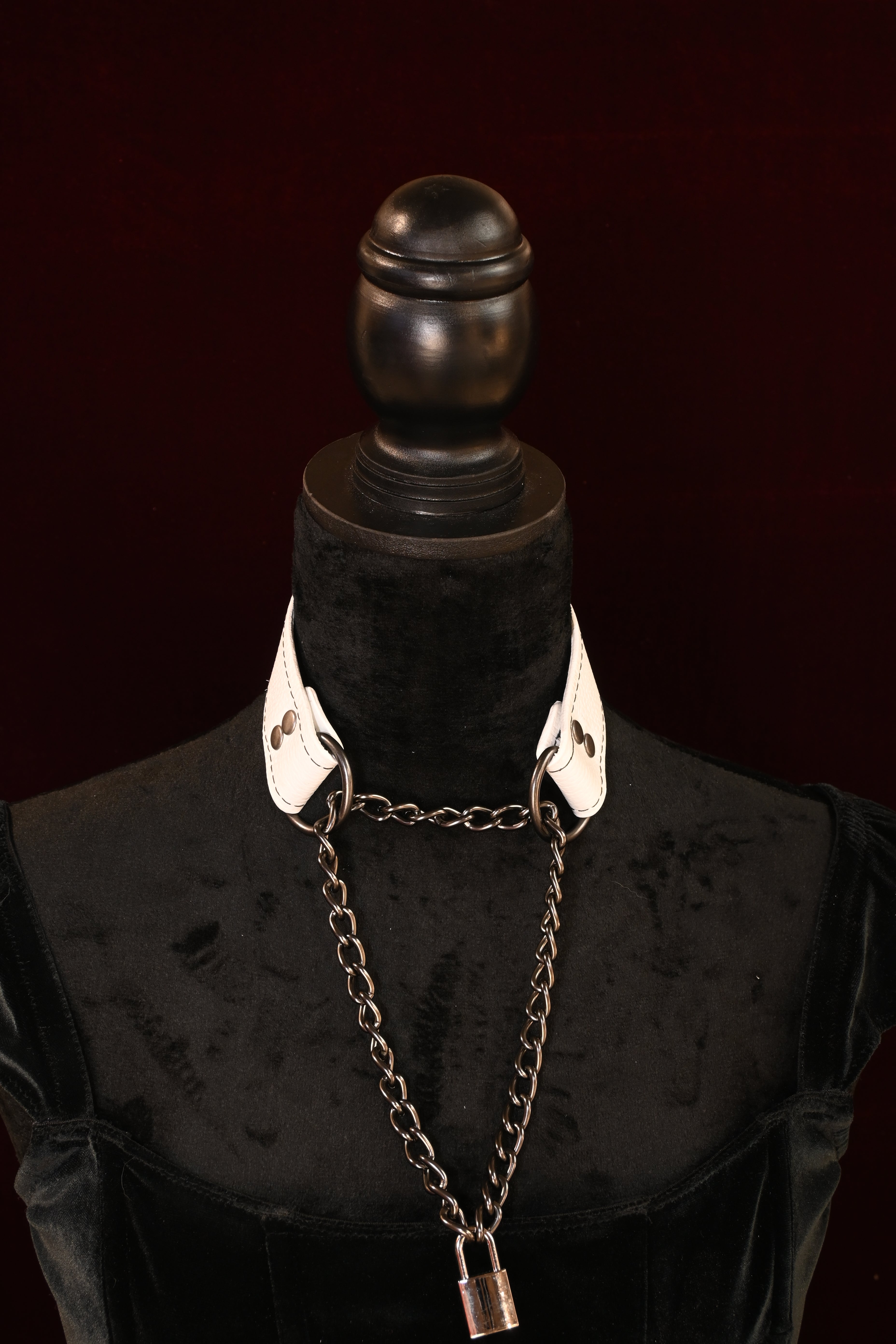 Obey Another Day - Agent No. 7 Collar image 1