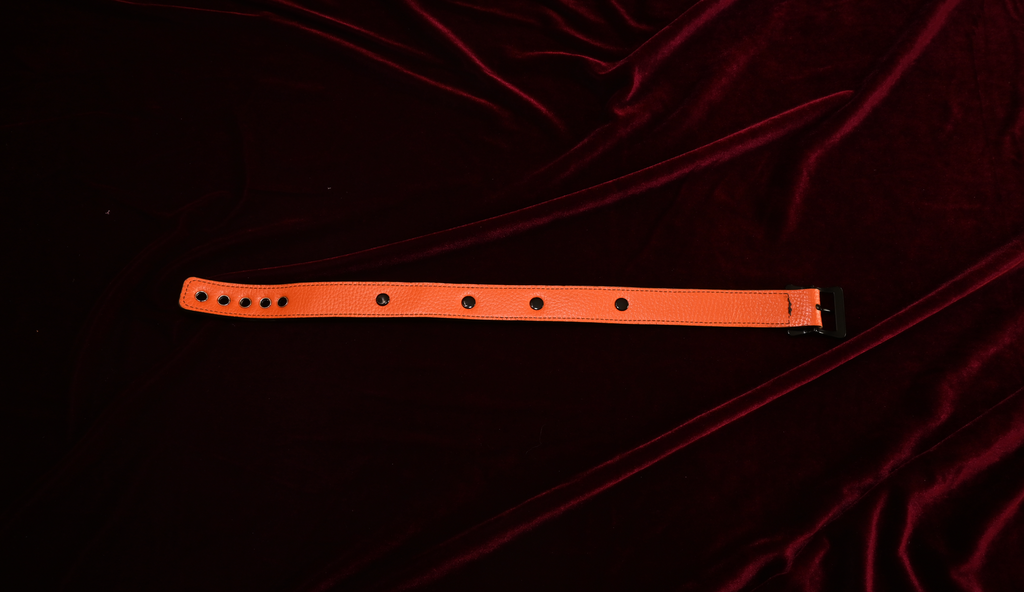 Spooky Season Bat Name Plate Collar image 3