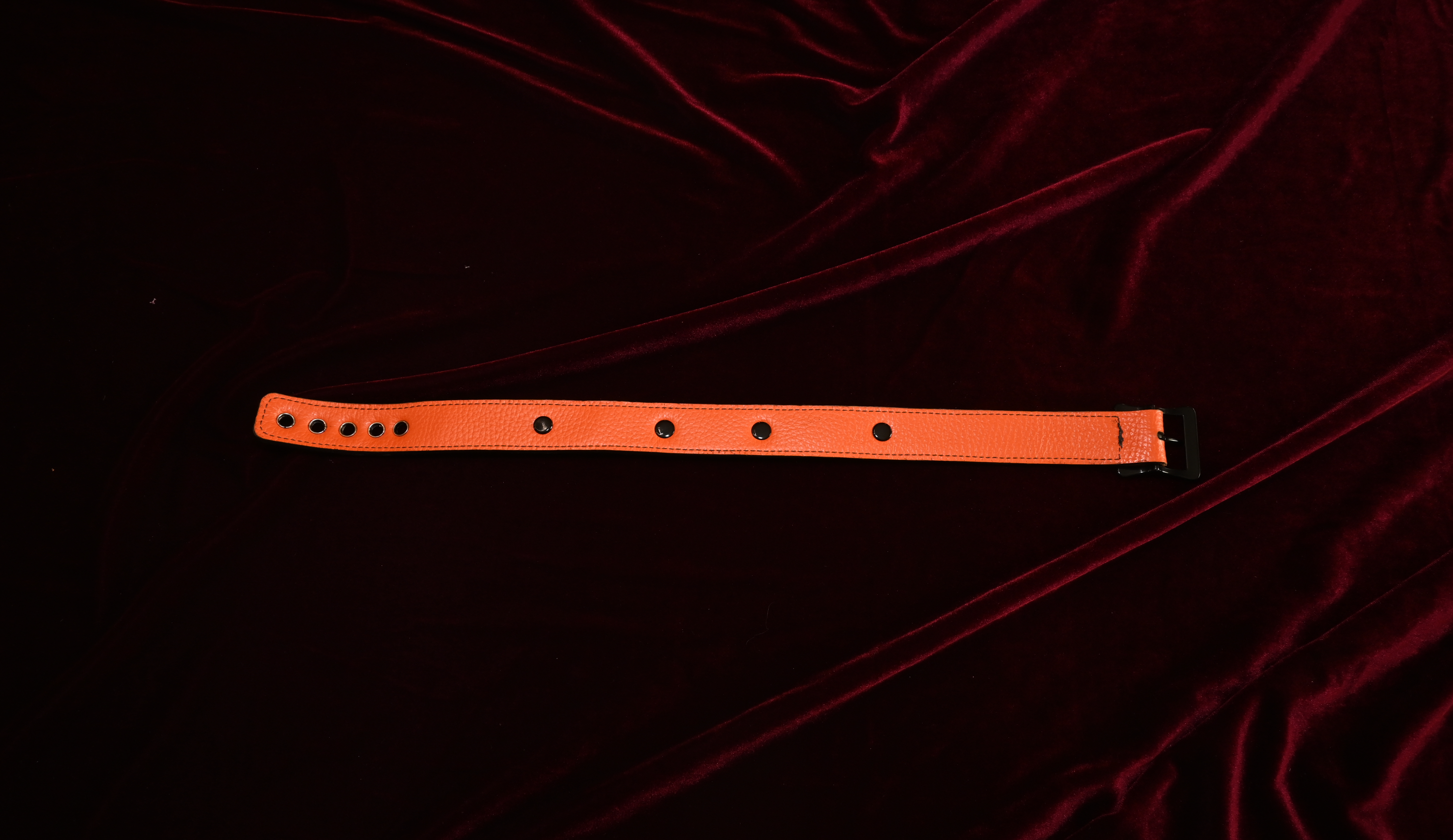 Spooky Season Bat Name Plate Collar image 3