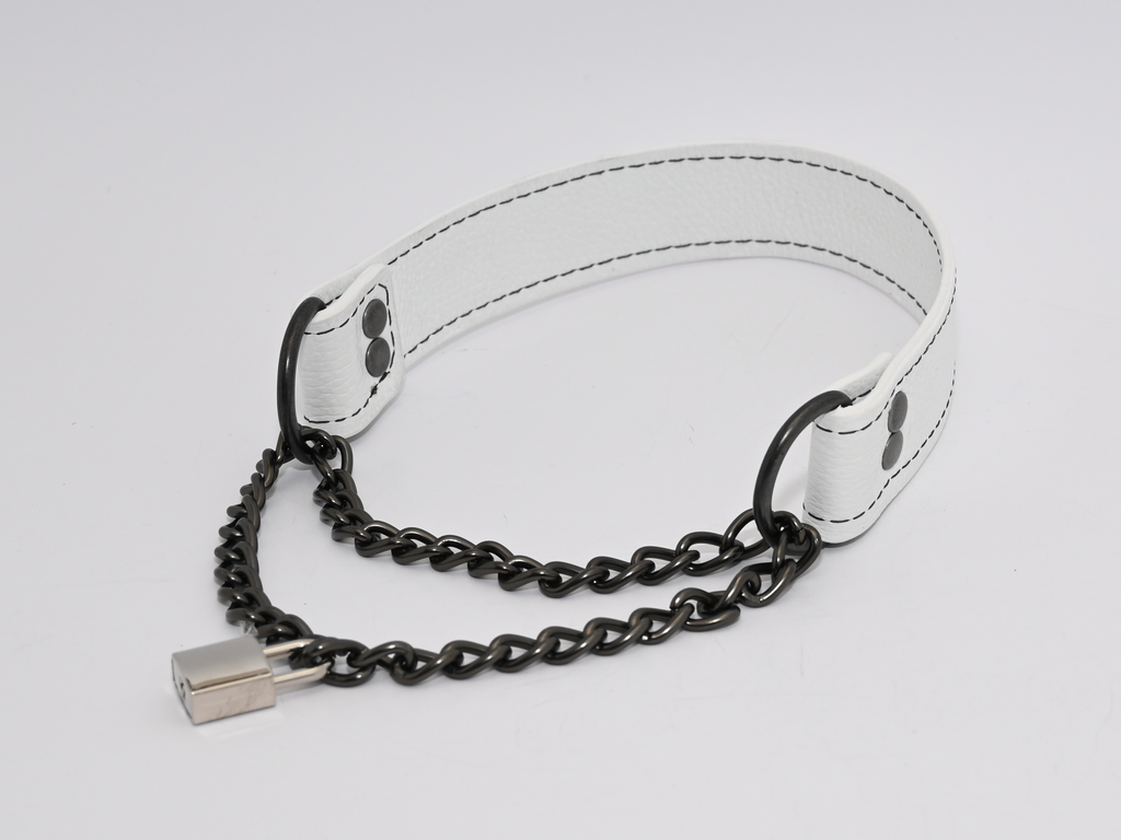Obey Another Day - Agent No. 7 Collar image 5