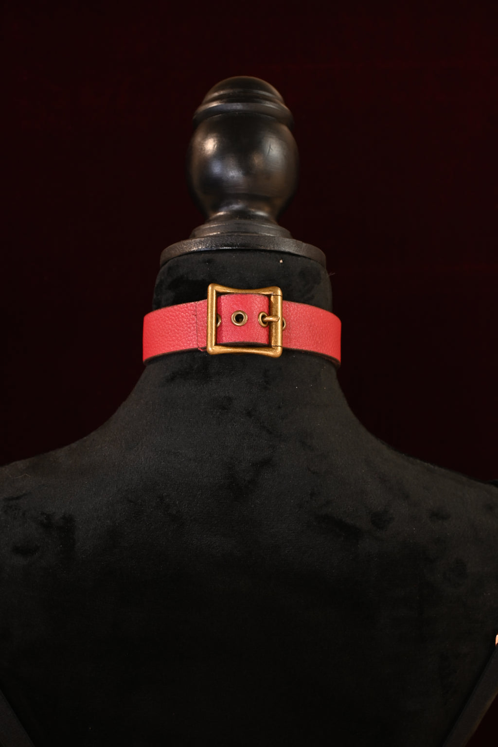 Crimson "Yes Sir" Collar image 1